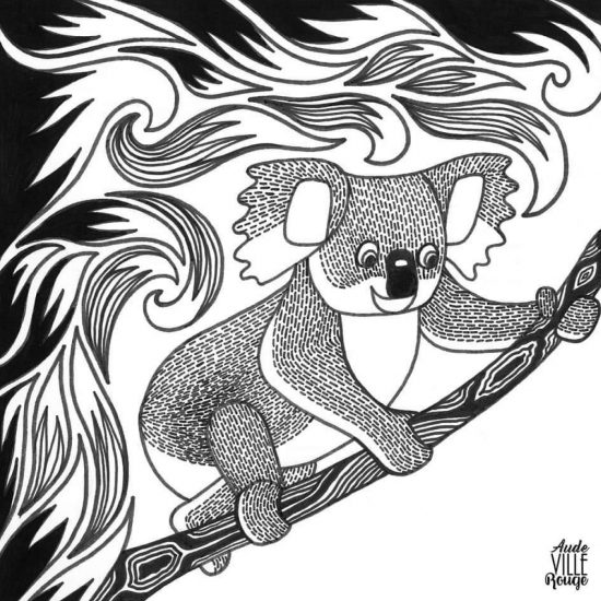 illusttration-koala-aude-villerouge